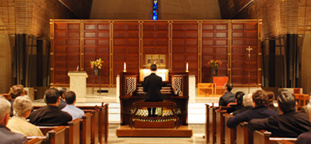 Organ Concert